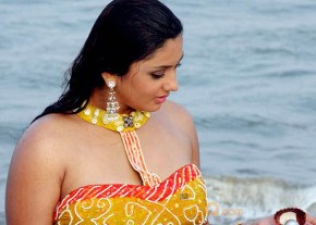 Hottest Namitha Photoshoot photo 530