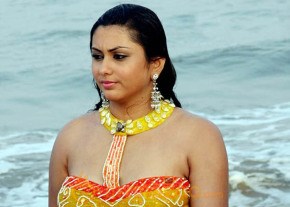 Hottest Namitha Photoshoot photo 143