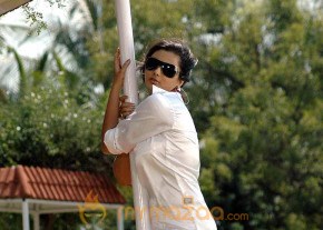Hottest Namitha Photoshoot photo 192