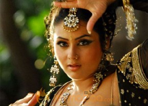 Hottest Namitha Photoshoot photo 76