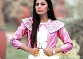 Nandita Swetha Photoshoot photo 4