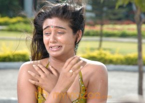 Priyamani Latest and Hottest Photo Gallery photo 34