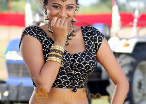 Priyamani Latest and Hottest Photo Gallery photo 36