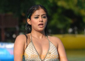Priyamani Latest and Hottest Photo Gallery photo 8
