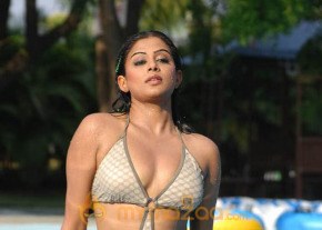 Priyamani Latest and Hottest Photo Gallery photo 27
