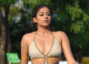 Priyamani Latest and Hottest Photo Gallery photo 32