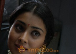 Hottest Shirya Photoshoot photo 22