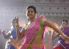 Shena Photogallery photo 4