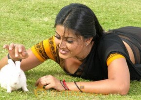 Shena Photogallery photo 2