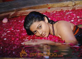Shena Photogallery photo 13