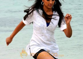 Cute Trisha Latest Photo Gallery photo 44