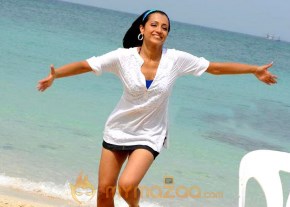 Cute Trisha Latest Photo Gallery photo 49