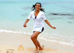 Cute Trisha Latest Photo Gallery photo 43