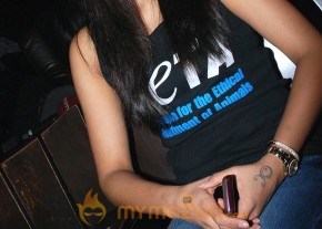 Trisha latest pic photo 19