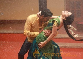 Aal Movie Latest Photo Stills photo 16