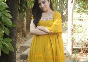 Aal Tamil Movie Press Meet Photos photo 11