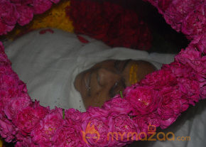Actress Sukumari Death Cermony   photo 13