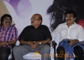 Adhu Vera Idhu Vera Audio Launch Photos photo 10
