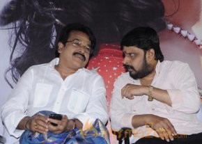 Adhu Vera Idhu Vera Audio Launch Photos photo 29