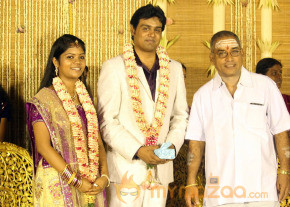 ALS Nachiyappan Son's Wedding Reception Photos  photo 52