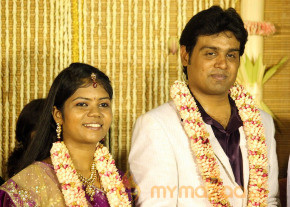 ALS Nachiyappan Son's Wedding Reception Photos  photo 47