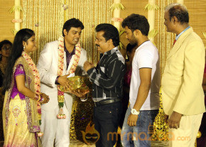 ALS Nachiyappan Son's Wedding Reception Photos  photo 29