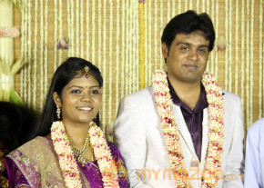 ALS Nachiyappan Son's Wedding Reception Photos  photo 7