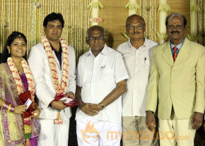 ALS Nachiyappan Son's Wedding Reception Photos  photo 43
