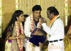 ALS Nachiyappan Son's Wedding Reception Photos  photo 48