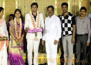 ALS Nachiyappan Son's Wedding Reception Photos  photo 26