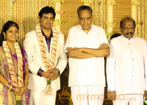 ALS Nachiyappan Son's Wedding Reception Photos  photo 11
