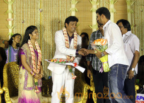 ALS Nachiyappan Son's Wedding Reception Photos  photo 9