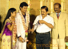 ALS Nachiyappan Son's Wedding Reception Photos  photo 16
