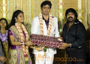 ALS Nachiyappan Son's Wedding Reception Photos  photo 36