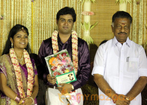 ALS Nachiyappan Son's Wedding Reception Photos  photo 33