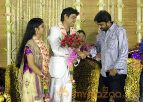 ALS Nachiyappan Son's Wedding Reception Photos  photo 51