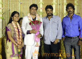 ALS Nachiyappan Son's Wedding Reception Photos  photo 10