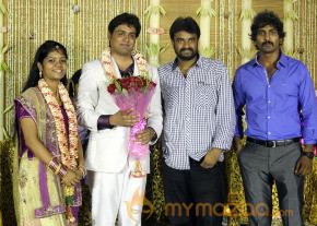 ALS Nachiyappan Son's Wedding Reception Photos  photo 14