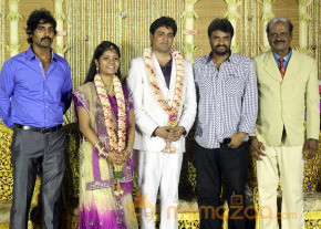 ALS Nachiyappan Son's Wedding Reception Photos  photo 55
