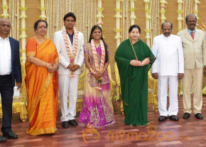 ALS Nachiyappan Son's Wedding Reception Photos  photo 49