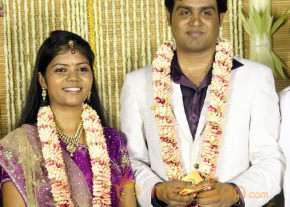 ALS Nachiyappan Son's Wedding Reception Photos  photo 12