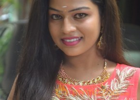 Andaman Movie Audio Release Stills photo 41