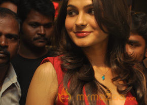Andrea Jeremiah At Globus Store Launch Photos  photo 5