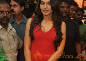 Andrea Jeremiah At Globus Store Launch Photos  photo 27