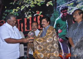 Aroopam Movie Audio Launch  photo 28