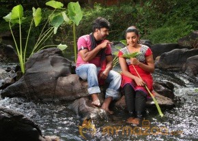 Bhuvanakkadu Movie Hot Stills photo 14