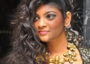 Calebs At Chennai fight Night 2013 Photos photo 10