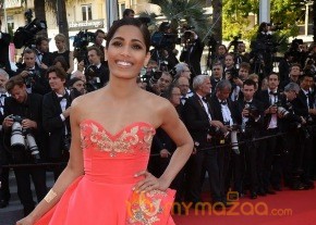 Cannes Film Festival 2014 Red Carpet Photos photo 29