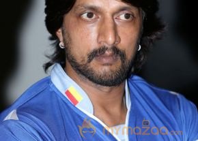 CCL 4 Semi Finals Press Meet Photos photo 51