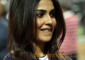 CCL 4 Veer Marathi Vs Bhojpuri Dabanggs Match Photos photo 43